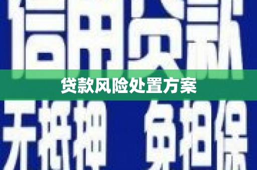 柘荣贷款风险处置方案