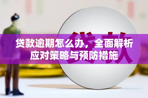 繁昌贷款逾期怎么办，全面解析应对策略与预防措施
