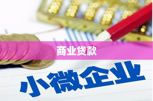 大武商业贷款