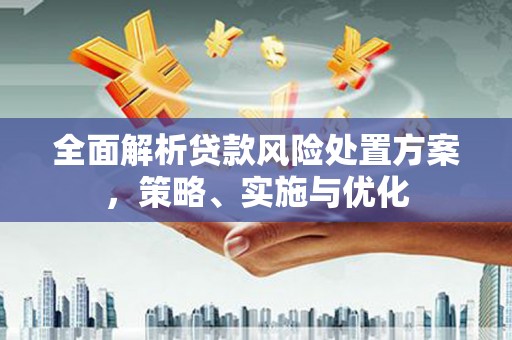 福贡全面解析贷款风险处置方案，策略、实施与优化