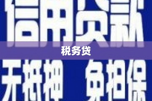 宜良税务贷