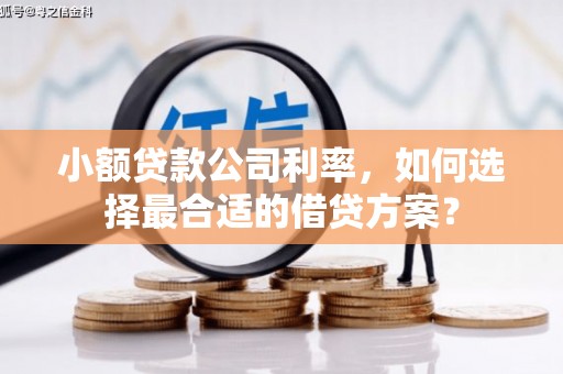 阿合奇小额贷款公司利率，如何选择最合适的借贷方案？
