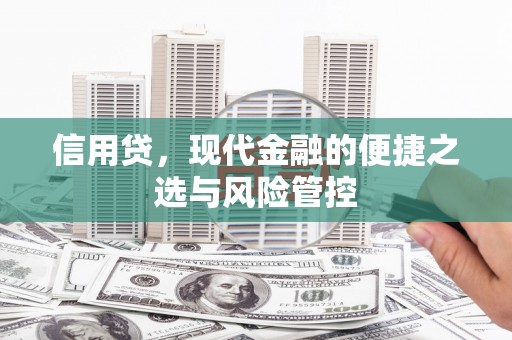 华龙信用贷，现代金融的便捷之选与风险管控