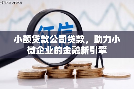 平阴小额贷款公司贷款，助力小微企业的金融新引擎
