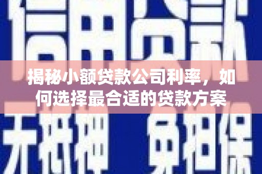 宁陕揭秘小额贷款公司利率，如何选择最合适的贷款方案