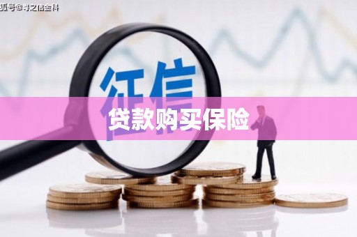 石家庄贷款购买保险