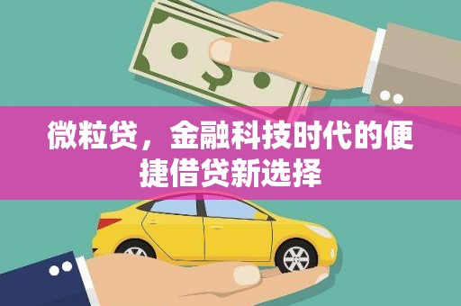 洮南微粒贷，金融科技时代的便捷借贷新选择