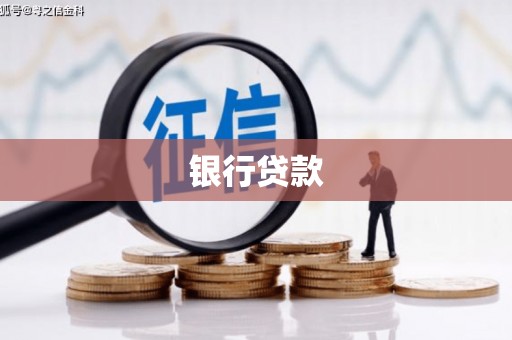望城银行贷款