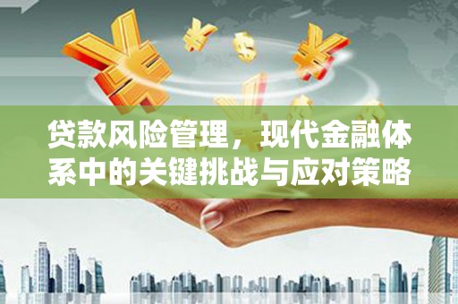 马尔康贷款风险管理，现代金融体系中的关键挑战与应对策略