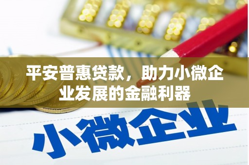谢家集平安普惠贷款，助力小微企业发展的金融利器