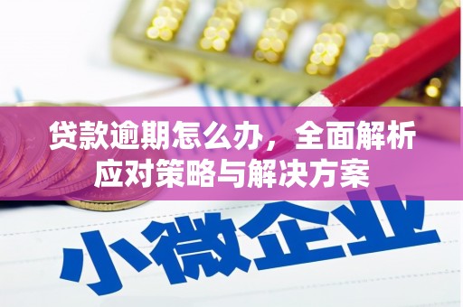 铁锋贷款逾期怎么办，全面解析应对策略与解决方案
