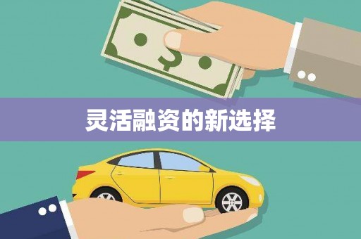 礼县灵活融资的新选择