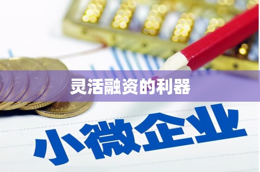 正宁灵活融资的利器