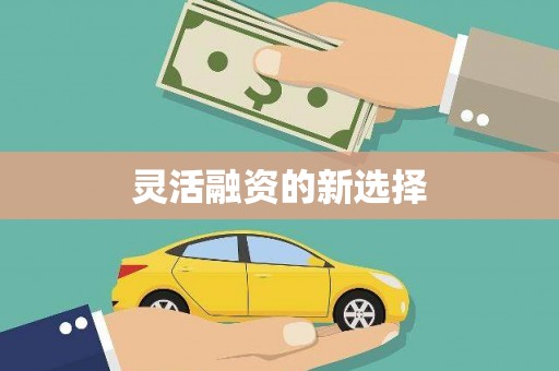 湾仔区灵活融资的新选择