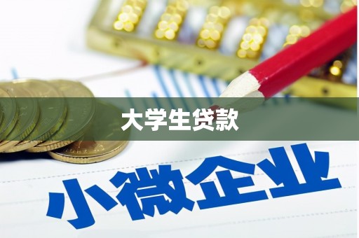 阜南大学生贷款