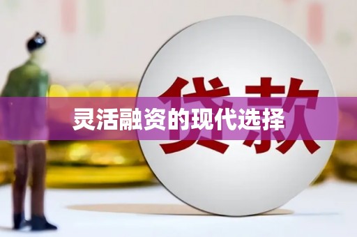 矿区灵活融资的现代选择