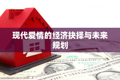 芦淞现代爱情的经济抉择与未来规划