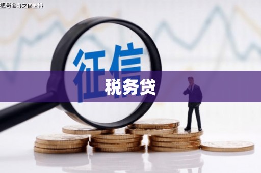 镇安税务贷