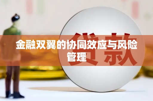 三地门金融双翼的协同效应与风险管理