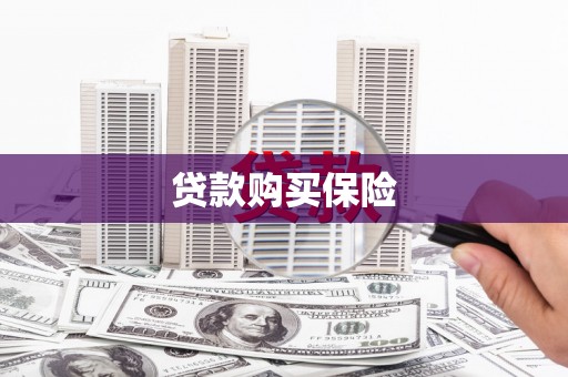茂县贷款购买保险